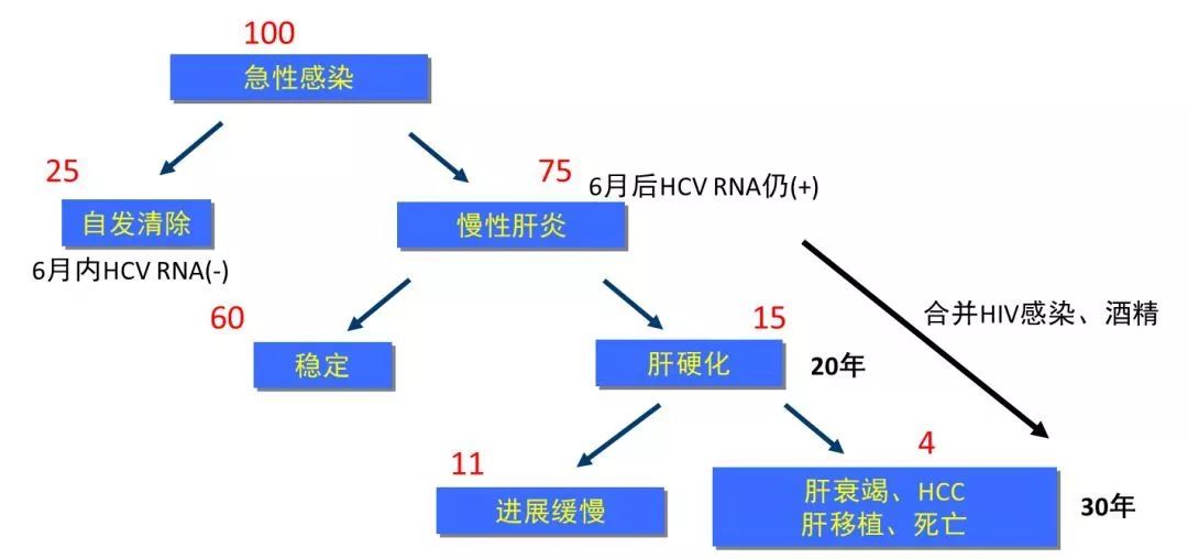 丙肝檢測的弱陽性究竟是不是感染了丙肝？